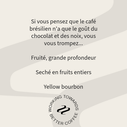 Brésil Alvaro Coli N