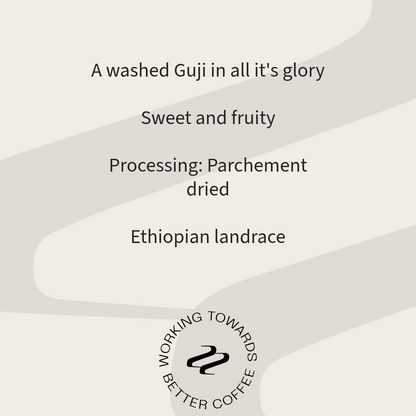 Ethiopia Shonora Coffee