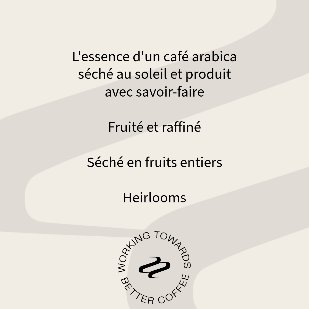 Ethiopie Shashemo Dukale