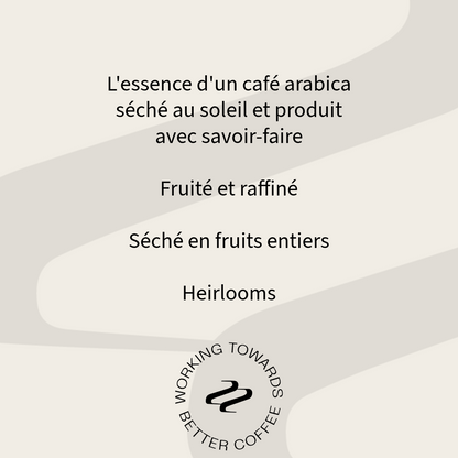 Ethiopie Shashemo Dukale