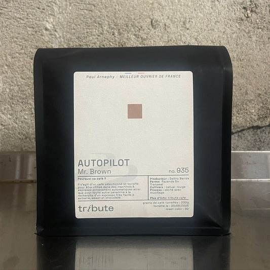 AUTOPILOT - Mr Brown