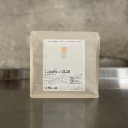 Honduras Caballero SL28