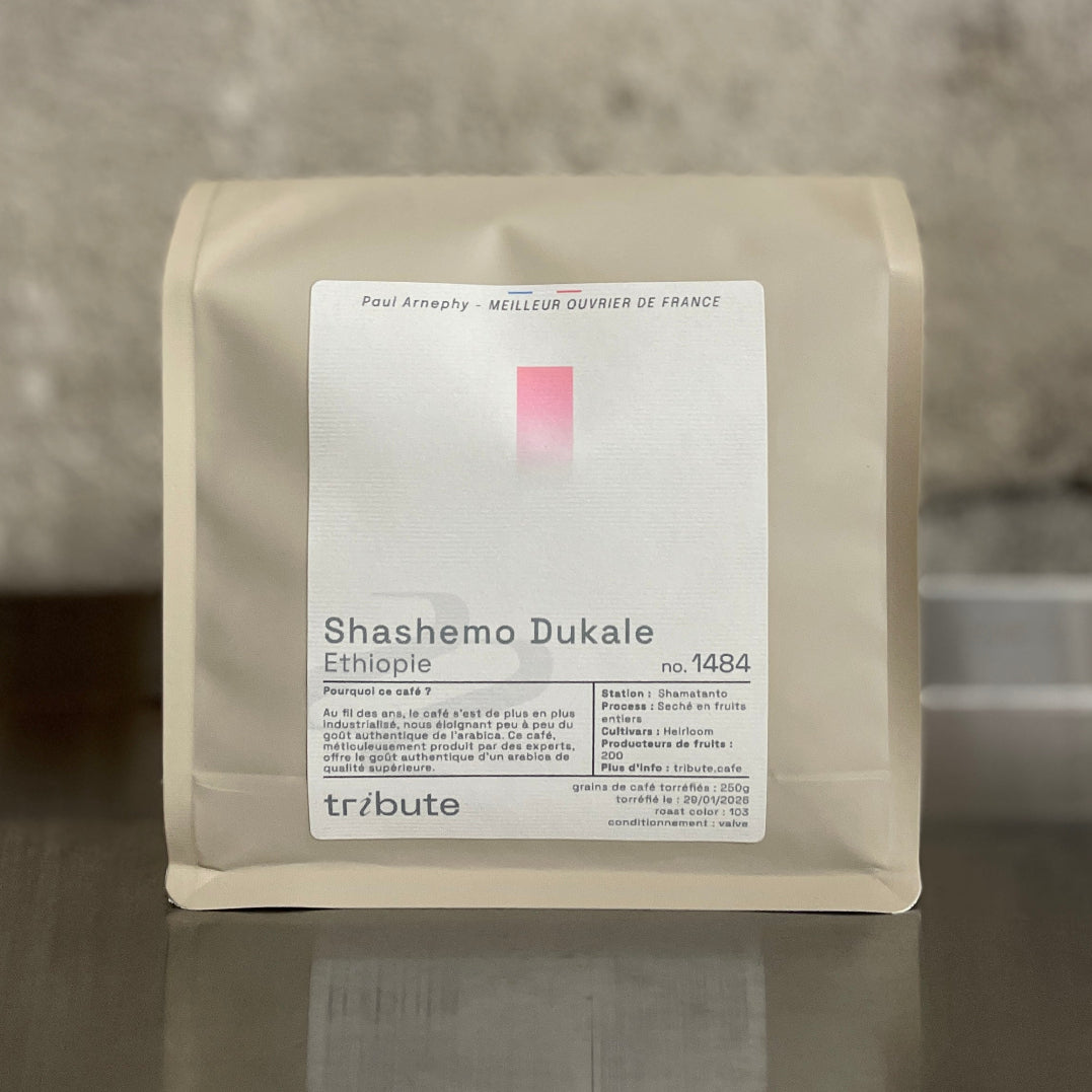 Ethiopie Shashemo Dukale