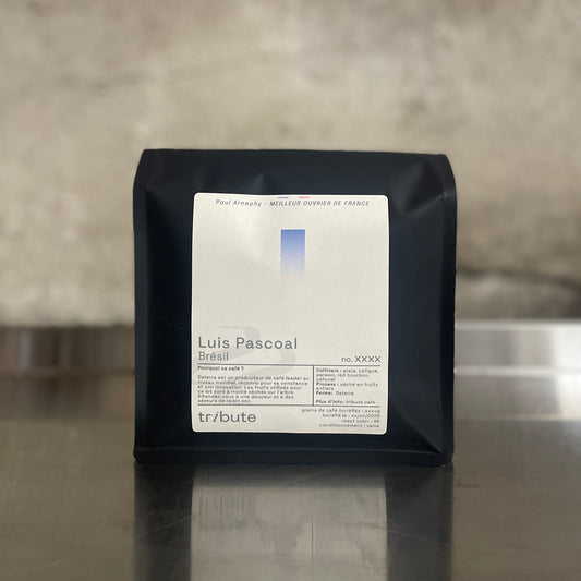 Brésil Luis Pascoal