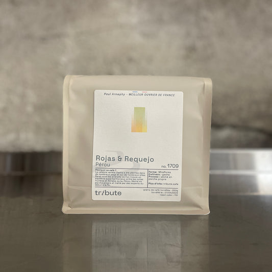 Perou Rojas & Requejo - Lavé