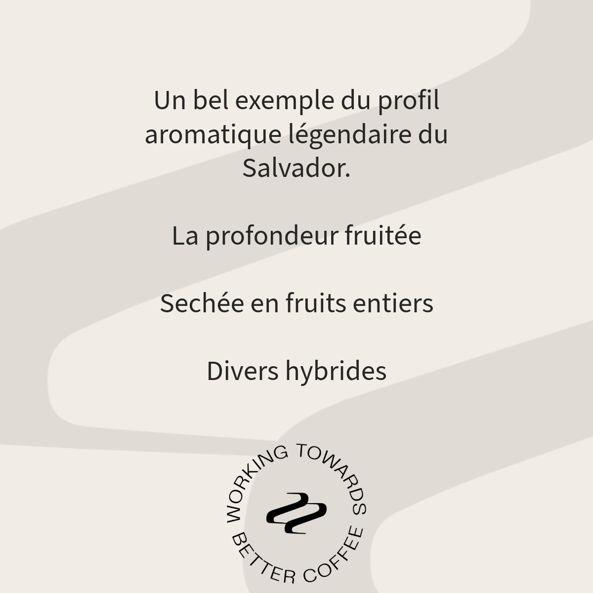 Salvador Rodolfo Ruffatti