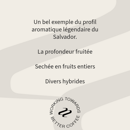 Salvador Rodolfo Ruffatti