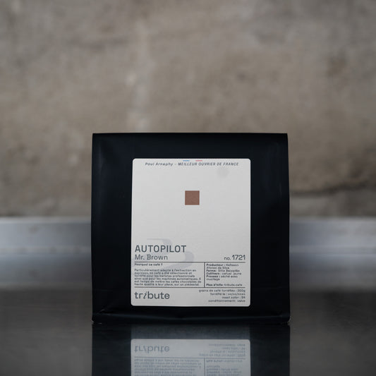 AUTOPILOT - Mr. Brown