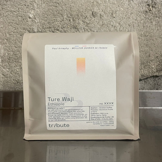 Ethiopie Ture Waji