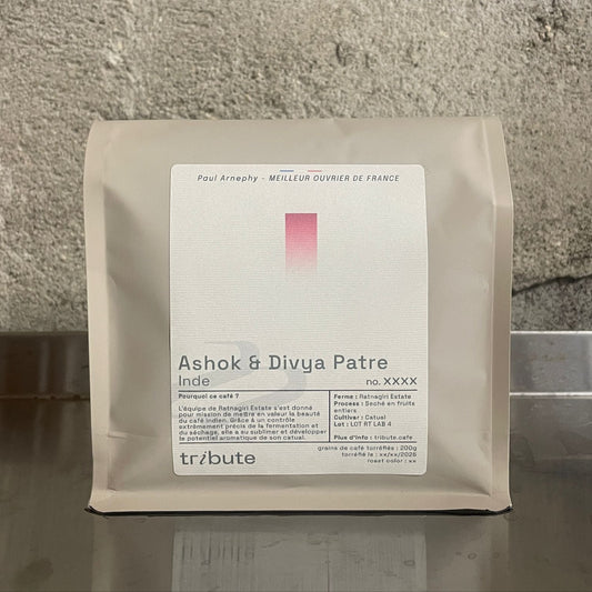 Inde Ashok & Divya Patre