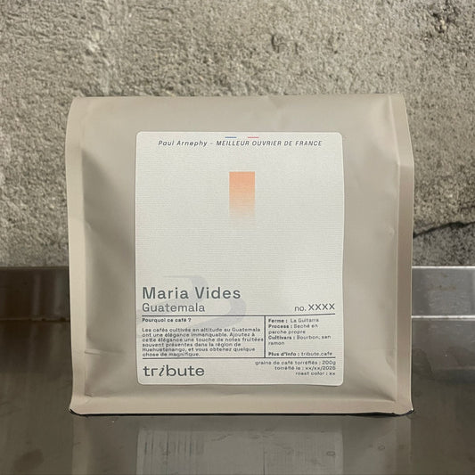 Guatemala Maria Vides