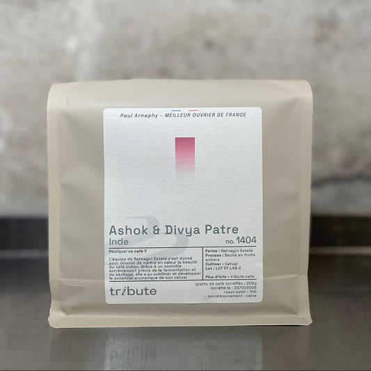 Inde Ashok & Divya Patre