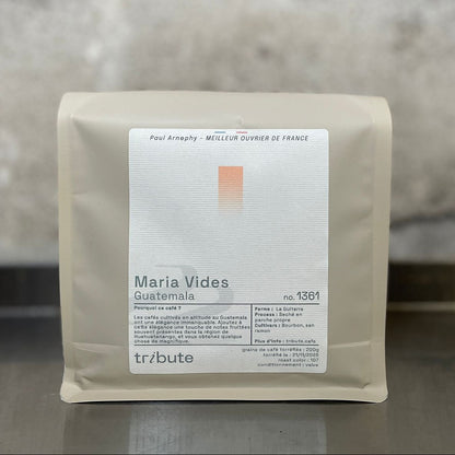 Guatemala Maria Vides